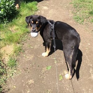 Meet your Posher, Chloe